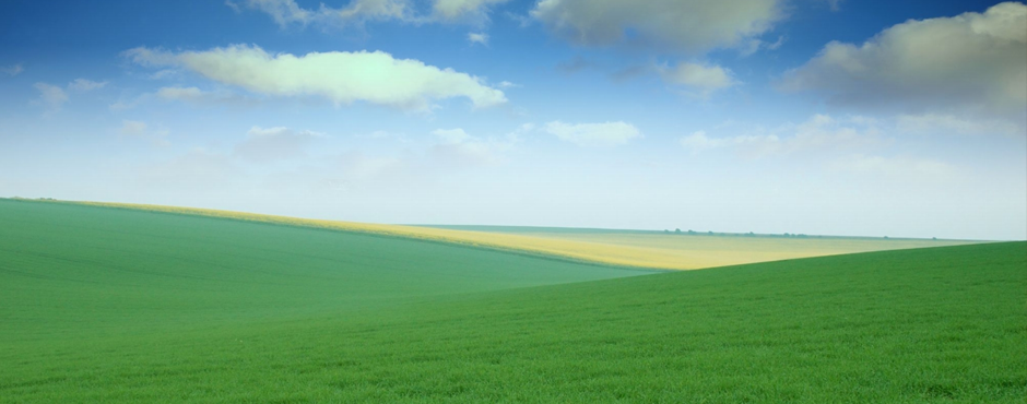 10 Wonderful Experiences of Being a New Pastor