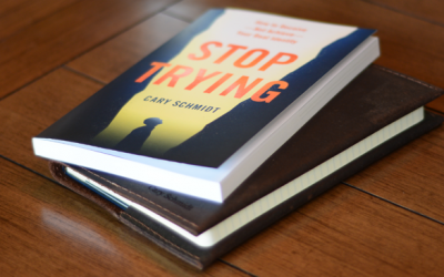It’s Launch Day! “Stop Trying” Is Available!